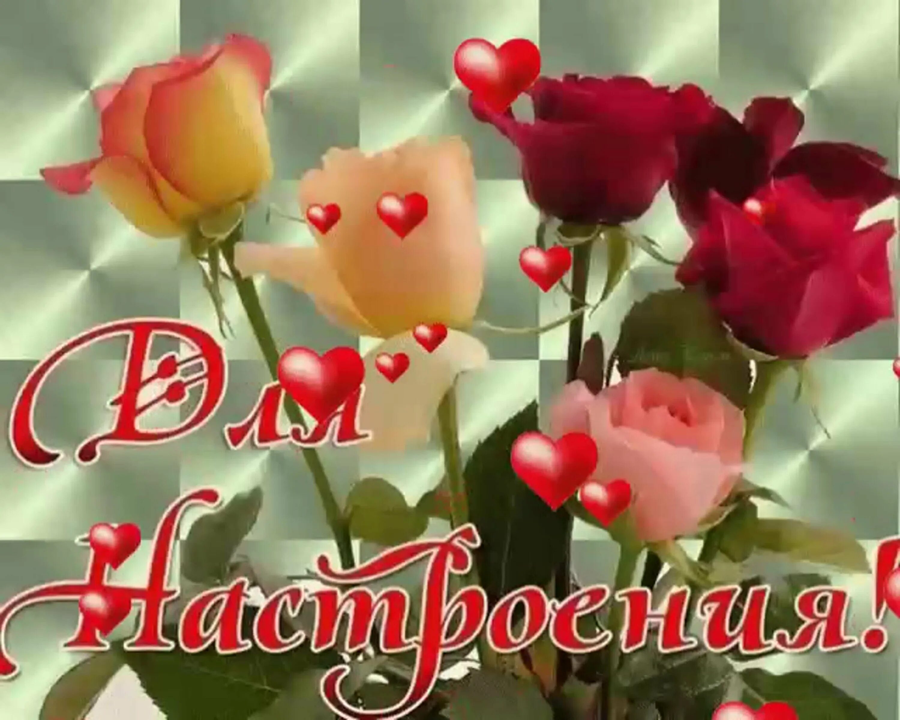 Доброго дня именинница