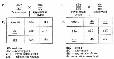 Летален в доминантном состоянии