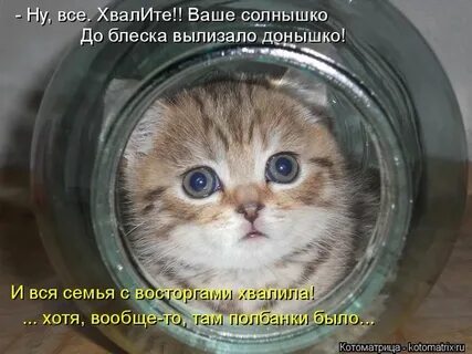 Ваше солнышко