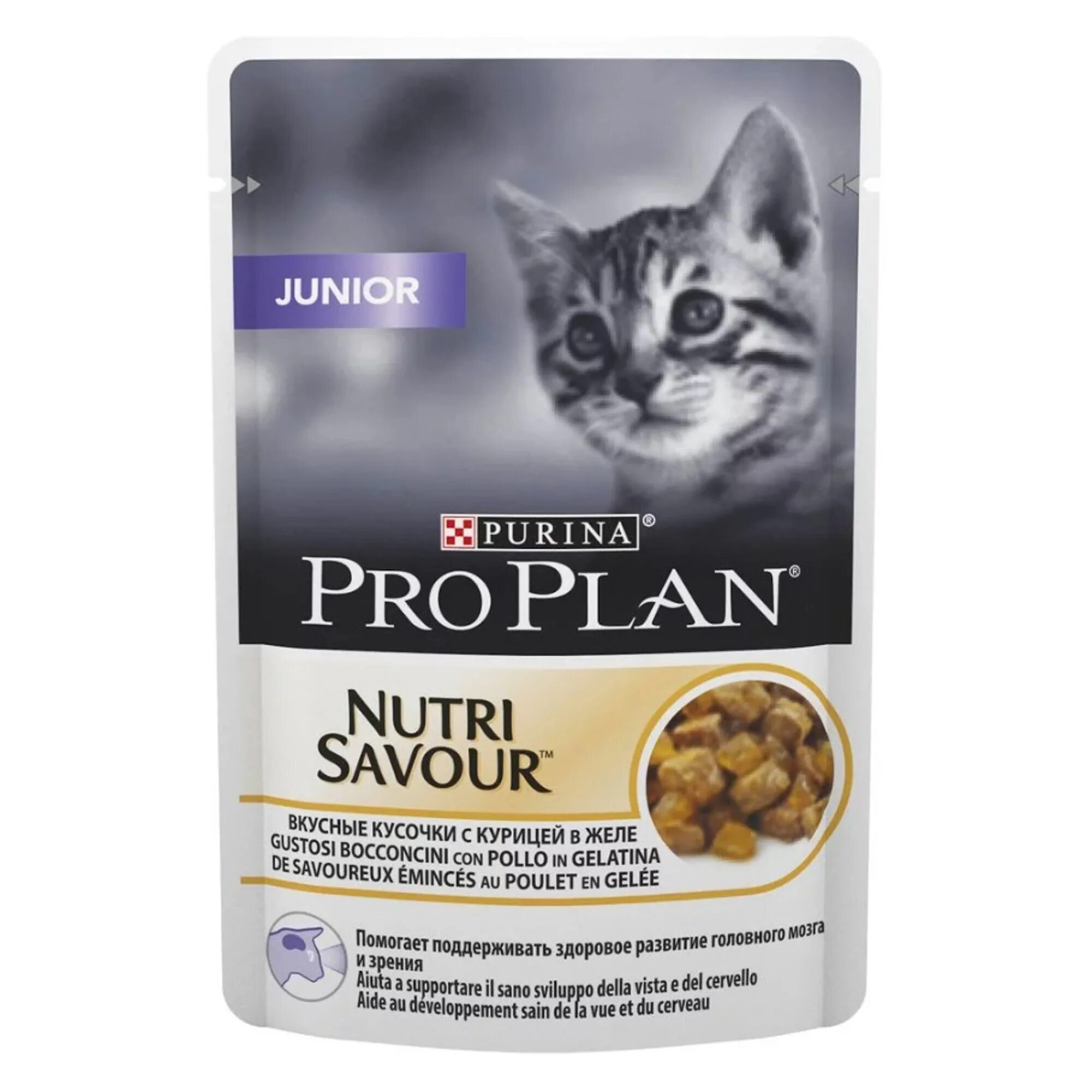 Влажный корм для котят Проплан. Purina Pro Plan для котят. Проплан Junior влажный корм для кошек. Корм Pro Plan для котят говядина соус 85 г. пауч.