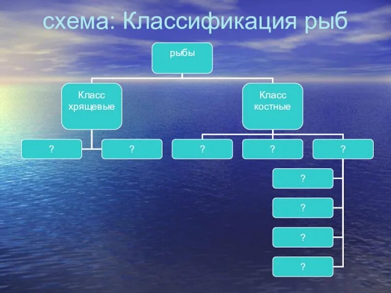 Рыбы таксономическая группа. Классификация рыб. Систематика рыб. Классификация и систематика рыб. Перечислить классы рыб