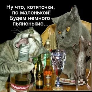Ну что накатим