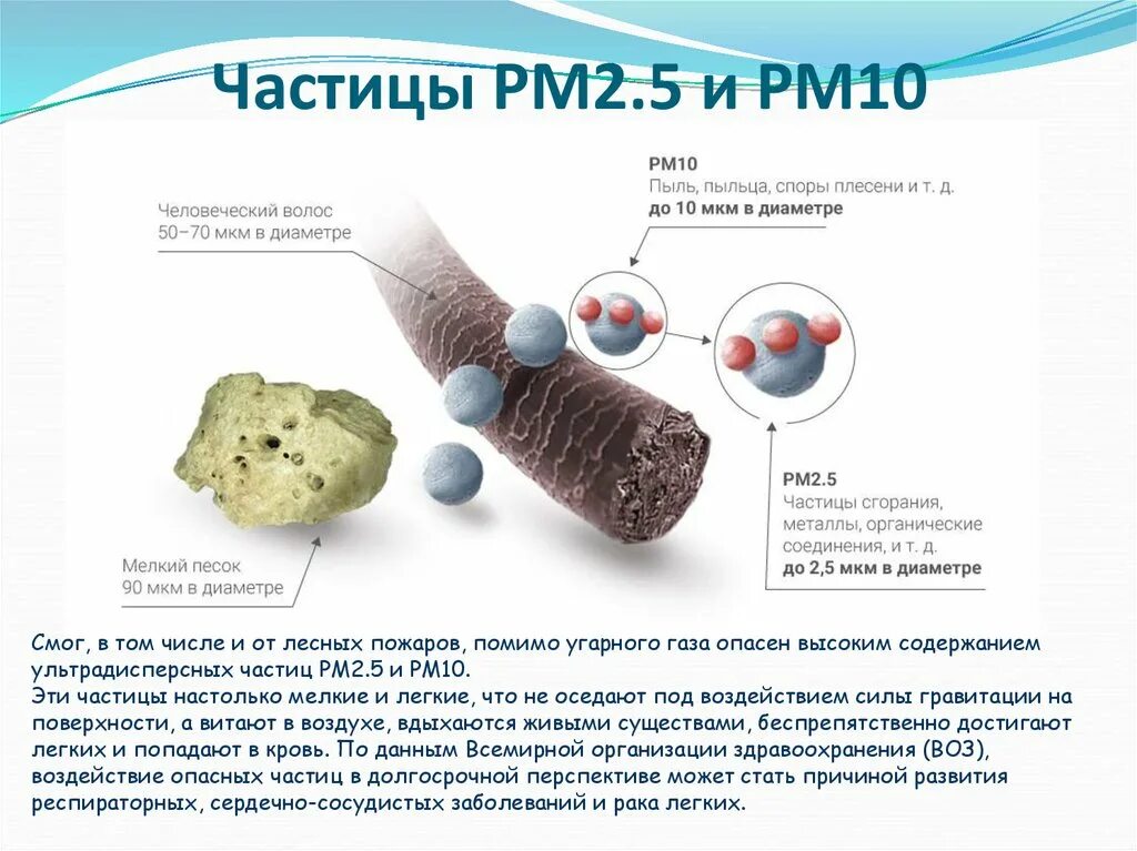 Воздействия твердых частиц. Нормы PM2.5 pm10. Норма частиц PM 2.5. PM2.5. Взвешенные частицы PM2.5 pm10.