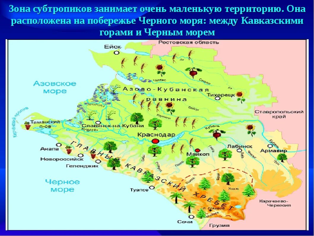 Природная зона сочи 4 класс. Зона субтропиков Черноморского побережья на карте. Карта природных зон Краснодарского края. Природные зоны России субтропики Кавказа. Черное море Черноморская побережье зона субтропики на карте.