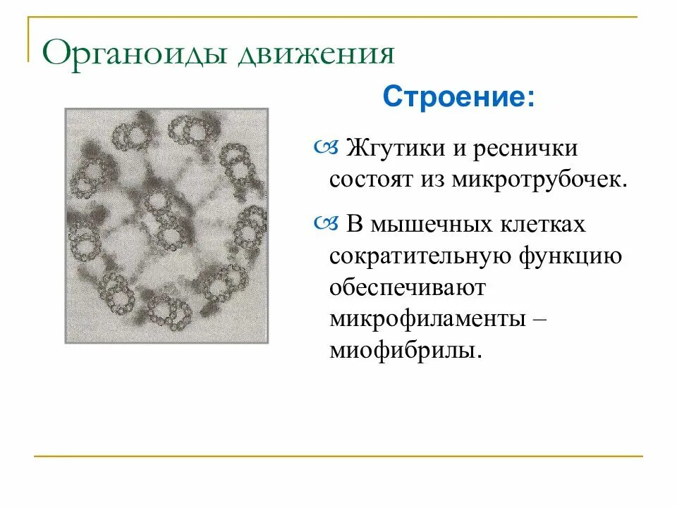 Передвижение строения