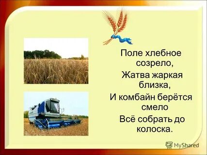 Наступило время жатвы на хлебное поле