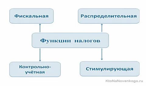 Вид налоговых функций