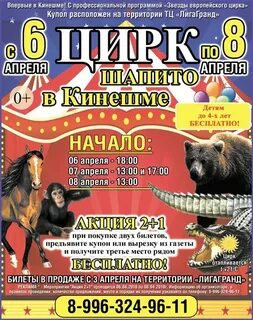 Цирк кинешма