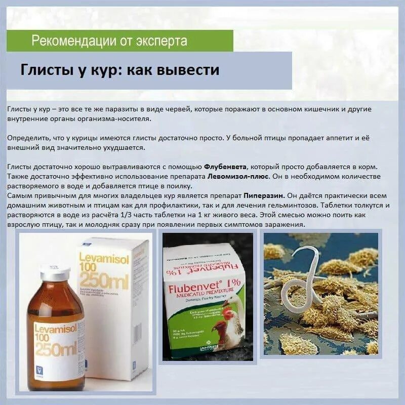 Препараты для курей от глистов. Лекарство от глистов для кур несушек. Лекарство для выведения глистов. Лекарство от паразитов для курей. Эффективных домашних средств для лечения