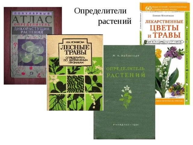 Pdf определители