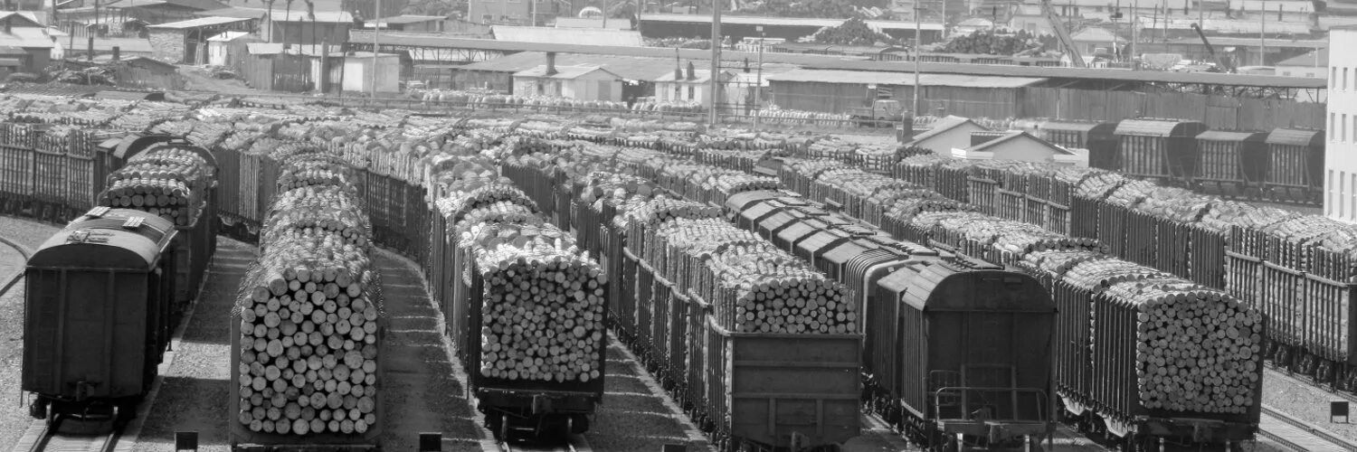Грузовой эшелон. Эшелоны на Дальний Восток. Эшелоны с заводским оборудованием. Эшелоны с лесом на Дальнем востоке