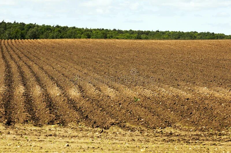Видеть во вспаханную землю. Вспаханная земля. Вспаханная земля. Огород пашня. Вспаханная земля.