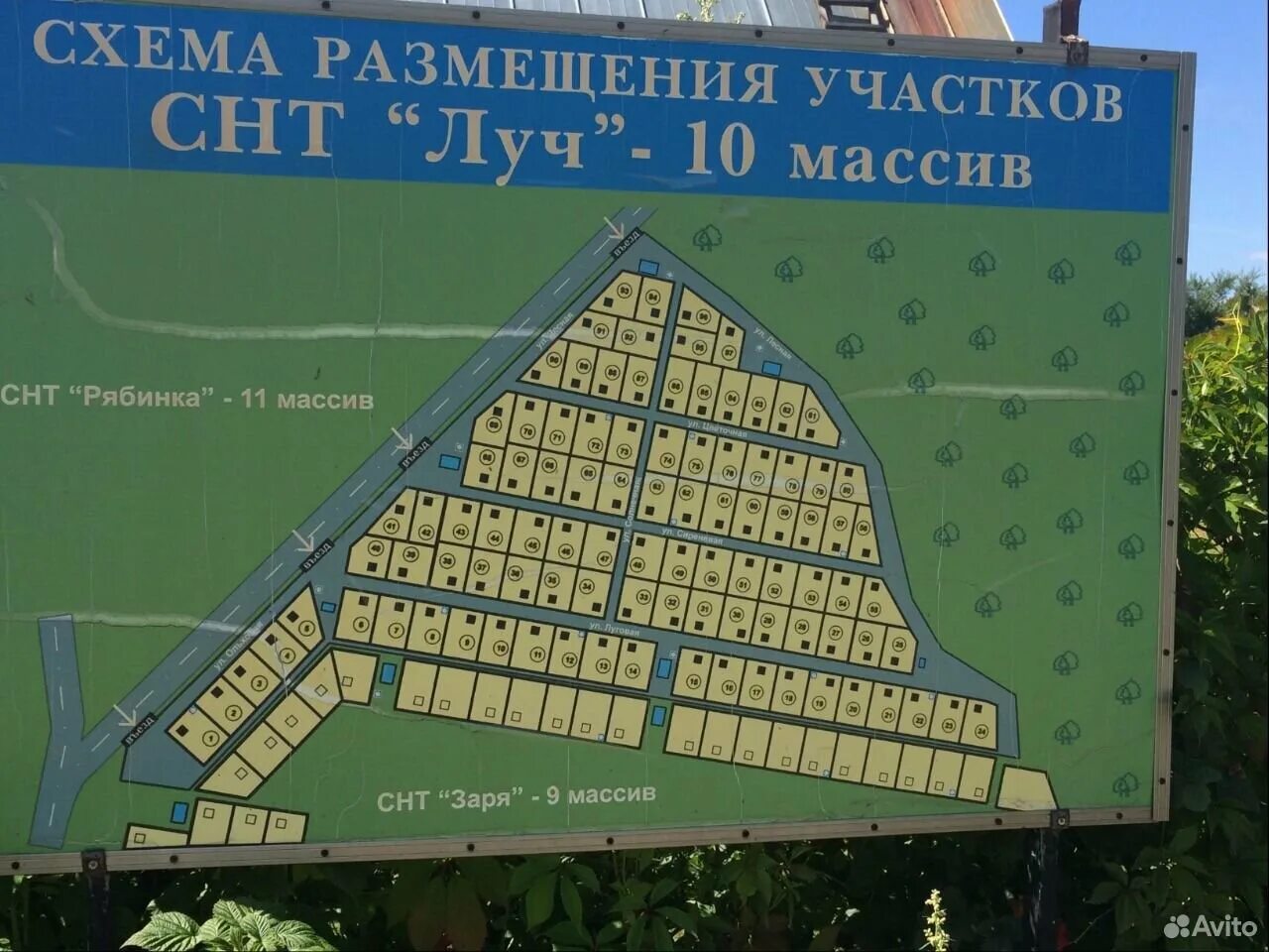 Погода в снт луч. Снт луч камынинка. Снт луч челябинская область. Домодедово снт луч-калачево. Вывеска садоводства.