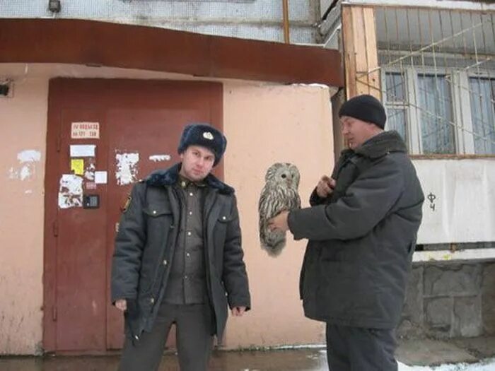 Что значит дебоширить. Советский плакат ствдео. Дебоширить это. Soba4ki livejournal. Драка в кабаке.