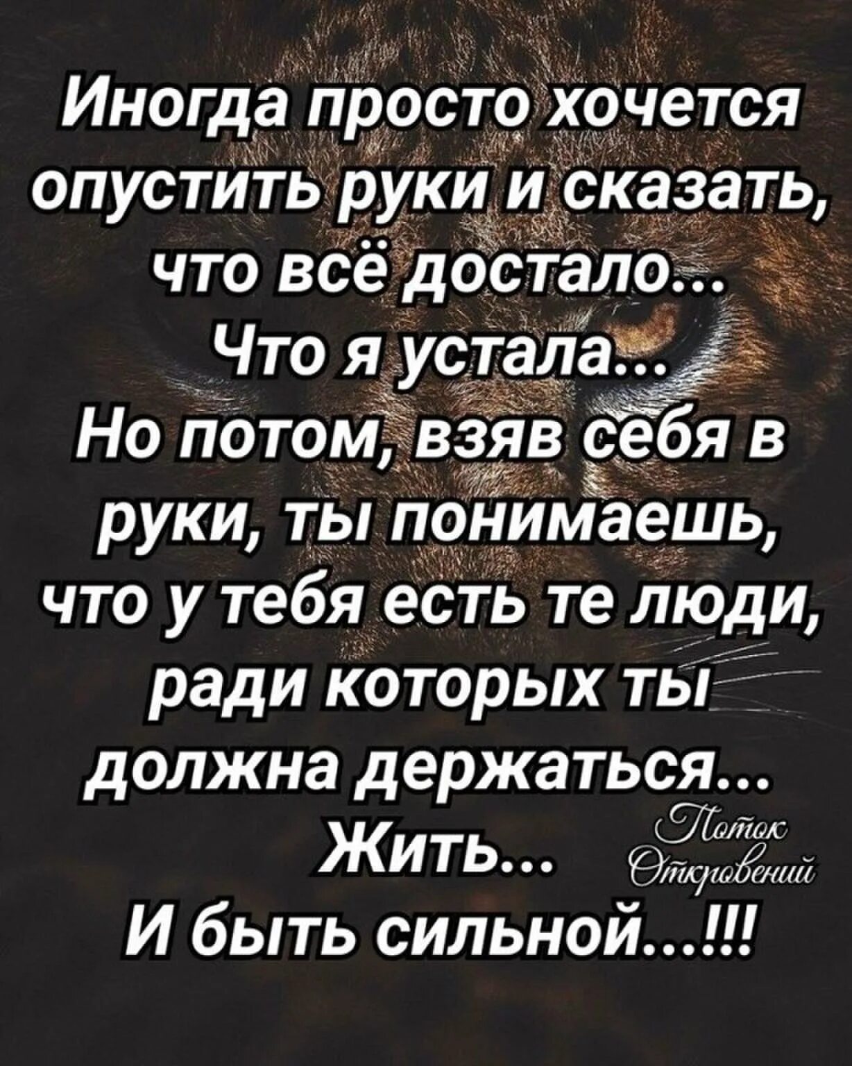 Я устаю от жизни. Иногда просто хочется опустить руки и сказать что все. Иногда просто хочется. Иногда цитаты. Устала цитаты.