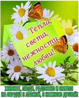 Поздравляю доброе летнее