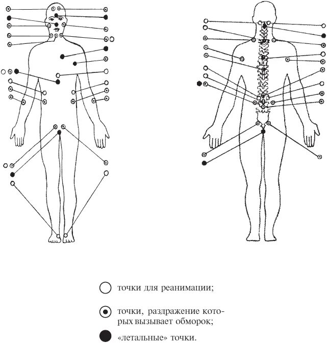 13 точка человека. Уязвимые болевые точки на теле человека. Болевые точки человека схема. Где находятся болевые точки у человека. Слабые точки человека.
