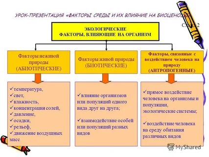 Презентация на тему экологические факторы и их влияние на организмы 9 класс