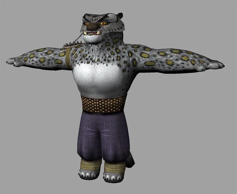 Tai lung kung fu