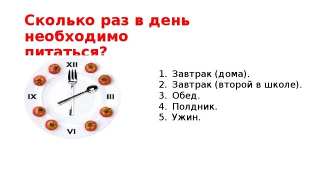 Сколько раз в день нужно питаться. Сколько раз в день нужно есть. Сколько нужно кушать в день. Режим питания по часам.