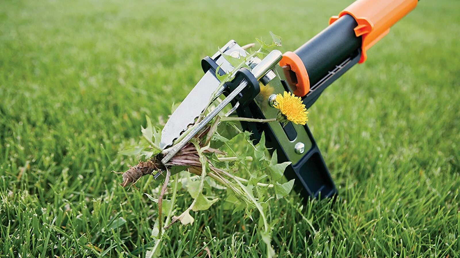 Что можно полоть. Насадка культиватор на триммер для окучивания картофеля. Красивые грядки для клубники. Окучивание картошки. Что можно полоть.