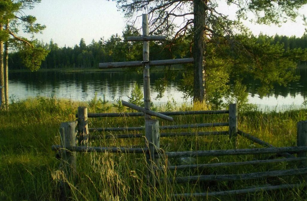 Пинежский район посёлок кривые озёра. Поселок кривые озера Пинежский р-н. Архангельская область Пинежский район поселок кривые озера. Озеро Демидовское Архангельская область.