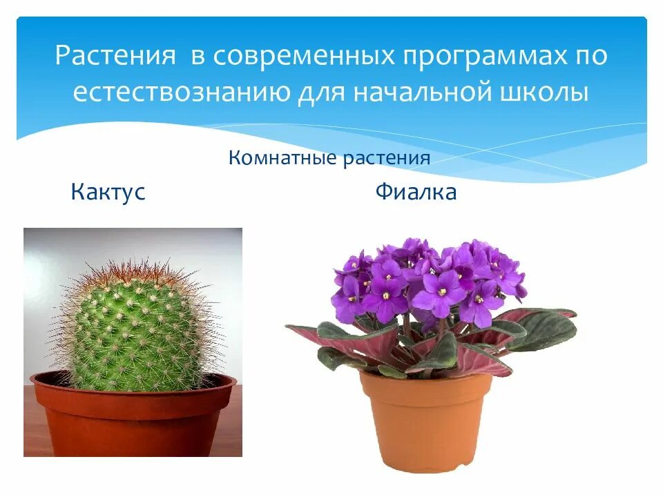 Естественная история растений