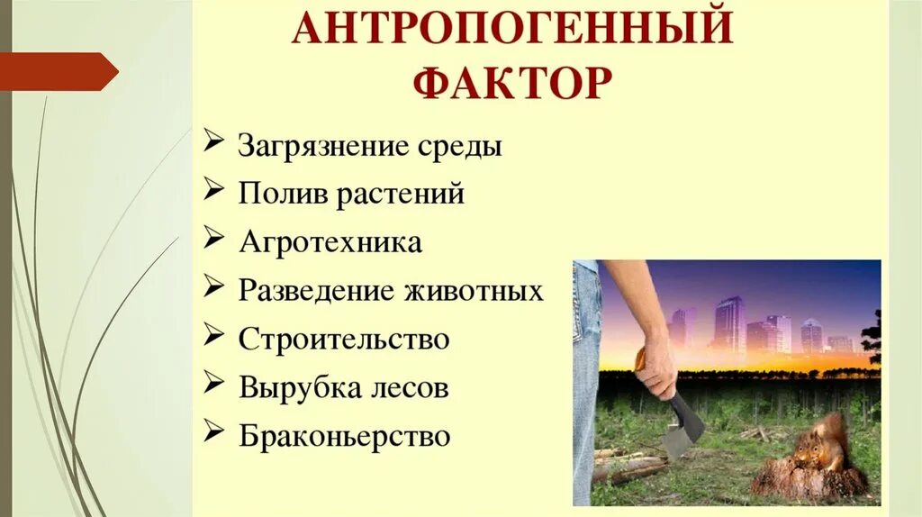 Антропогенные факторы примеры. Антропогенные факторы среды примеры. Антропогенные факторы примеры 5 класс биология. Антропогенные экологические факторы.