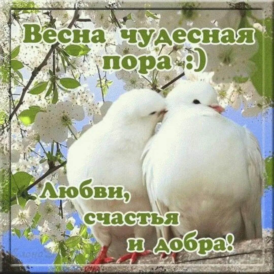Смешные поздравления с первым днем весны. С первым днем весны мужчине картинки красивые. Красивое поздравление с 1 днём весны. С первым днем весны девочки. Поздравление с первым днем весны.