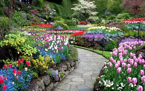 Download Flower Garden With Water Fountain Picture