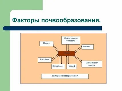 Факторы исторического процесса природный фактор