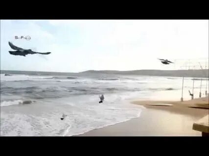 Море еще спало стальной у берега текст