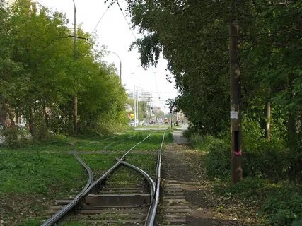 Зеленый остров екатеринбург