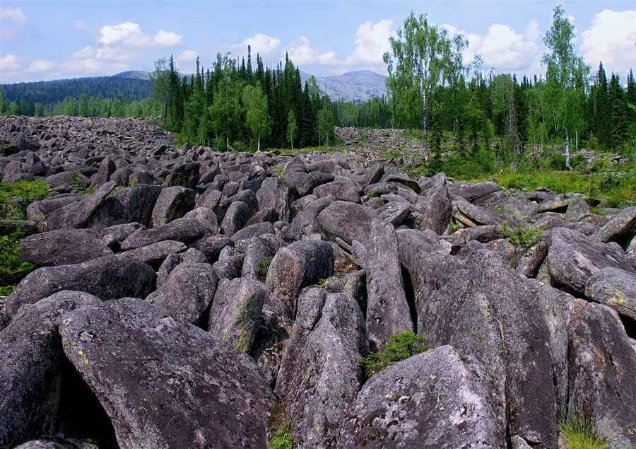 Курумы Иремель. Курумник Алтай. Курумник Иремель. Курумы средняя Сибирь.