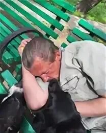 Нехлюдов был так занят разными удовольствиями что