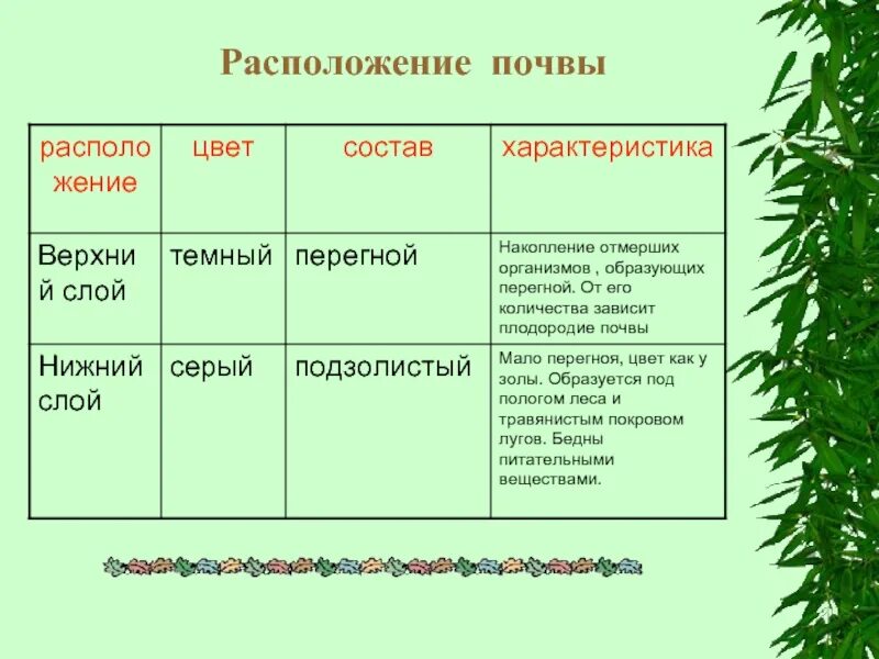 Почва располагается. Размещение почв. образование почв и их разнообразие. от чего зависит почва. размещение почв таблица.
