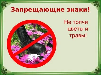 Не рви цветы не уходи