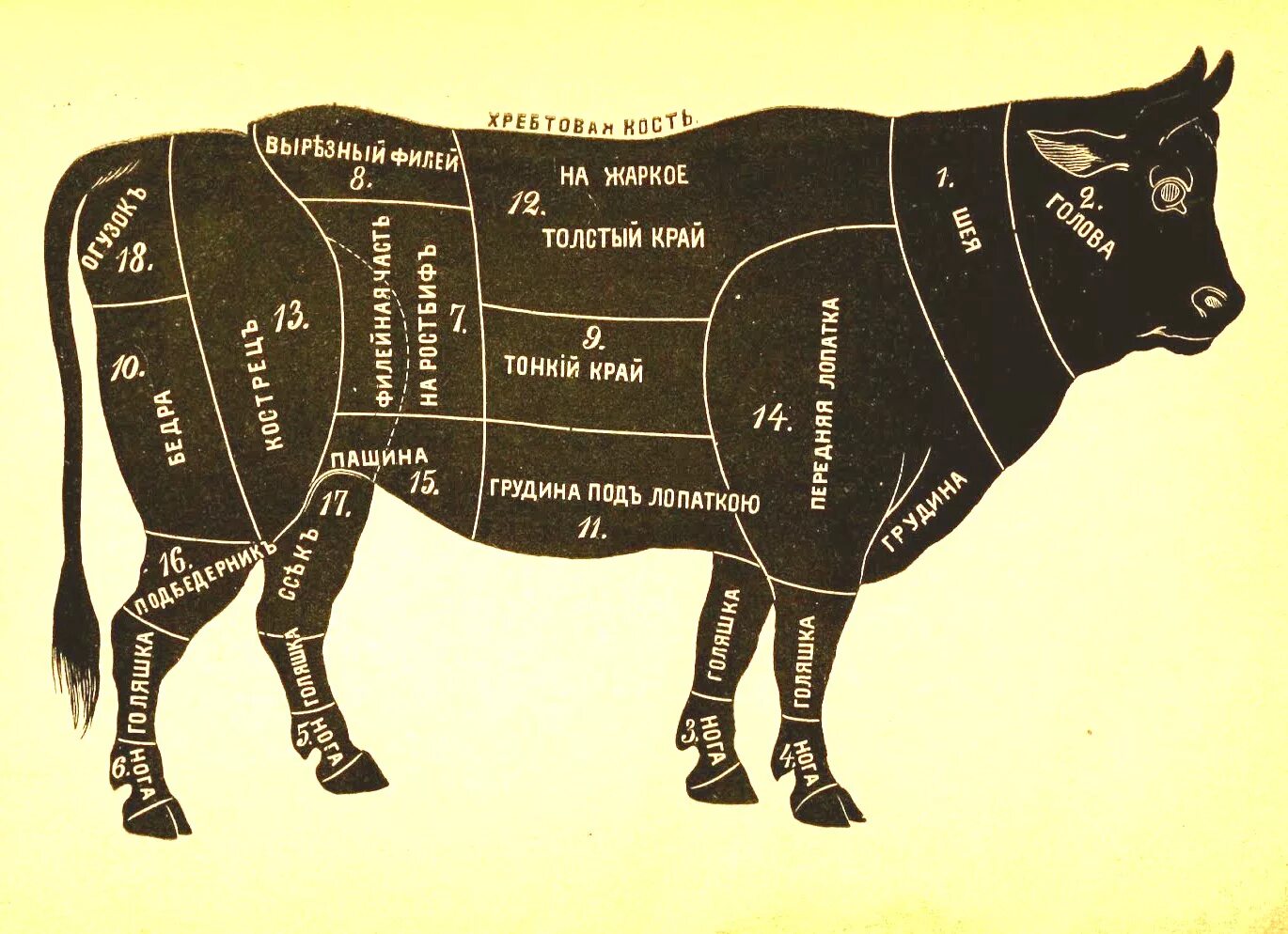 Вырезка части говядины. Схема разруба туши говядины. Схема разруба туши коровы. Части коровы. Части туши теленка.