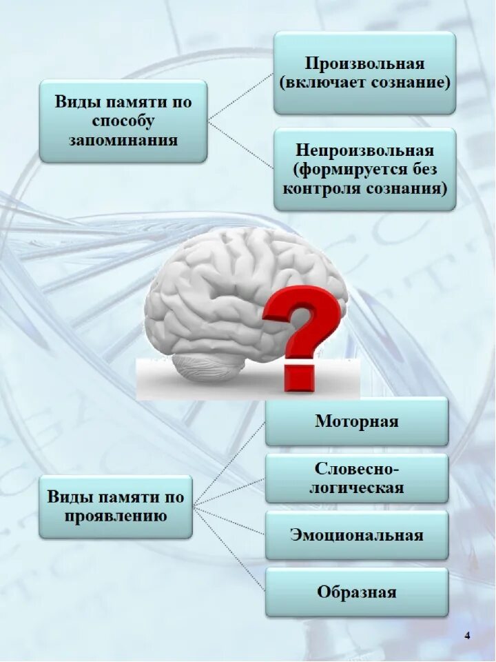 Сколько бывает памяти. Схема работы памяти человека. Виды запоминания памяти. Схема способы запоминания. Память методы запоминания информации.