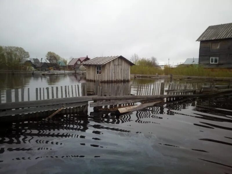 Уровень воды в реке вологда