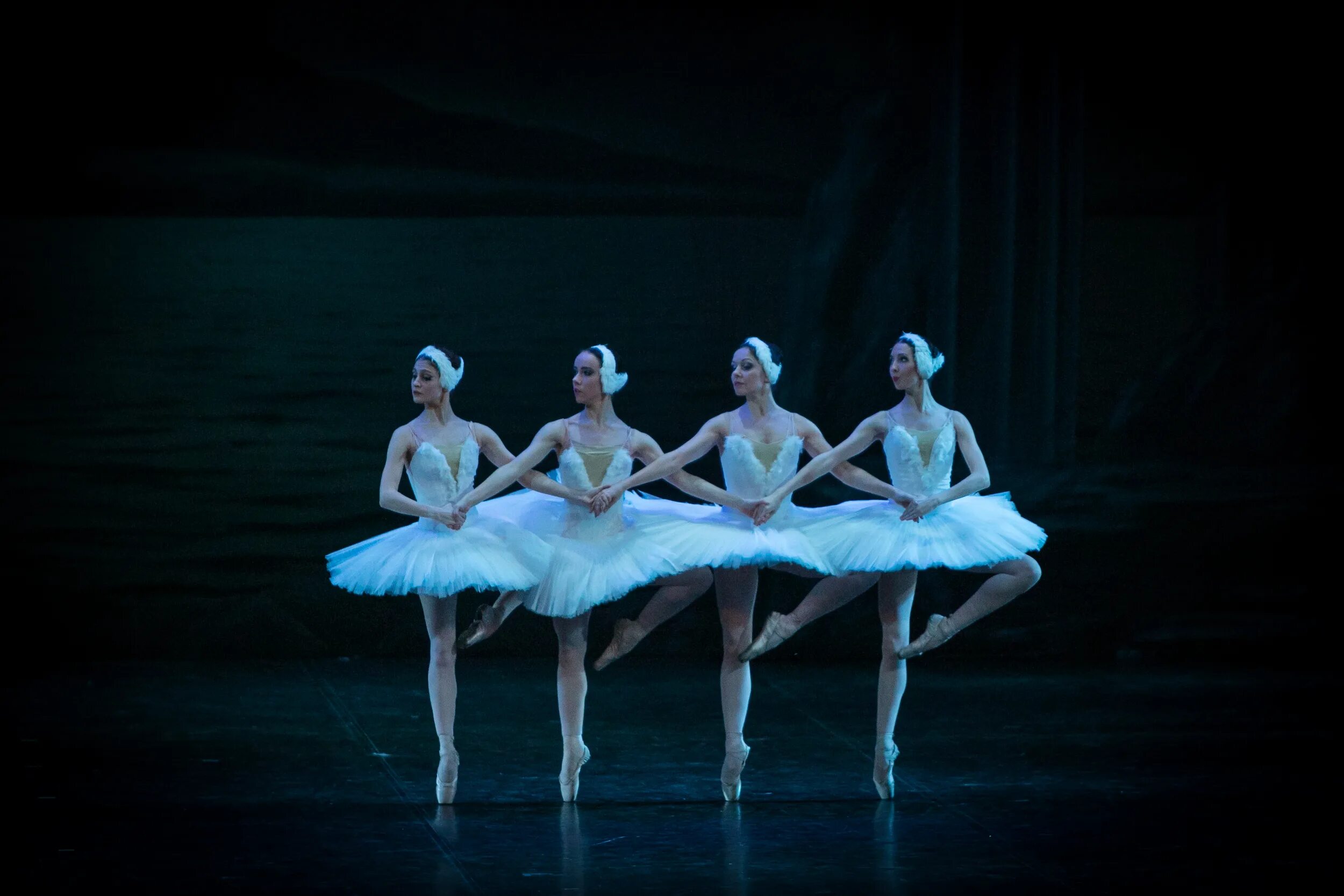 билеты на лебединое озеро. афиша балета. русский классический театр балета лебединое озеро. лебединое озеро балет коршун. премьера балета лебединое озеро 1877.