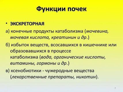 Экскреторная функция почек