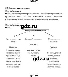 Биология 6 класс сивоглазов ответы на вопросы