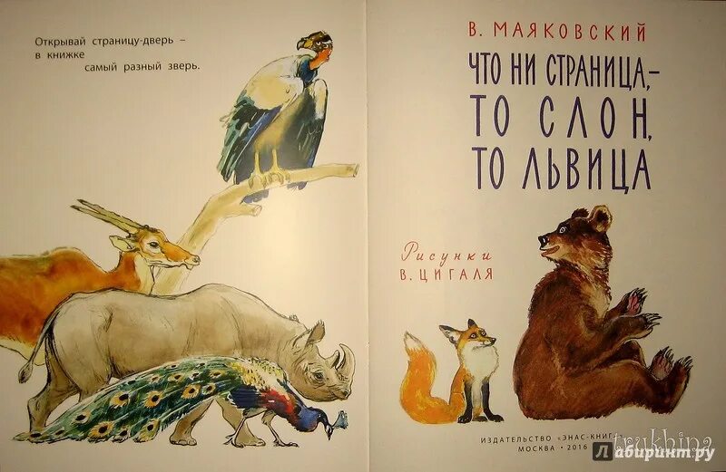 Что ни страница то слон. Что ни страница - то слон, то львица. маяковский в. &quot;что ни страница - то слон, то львица&quot;. что ни страница то слон то львица книга.