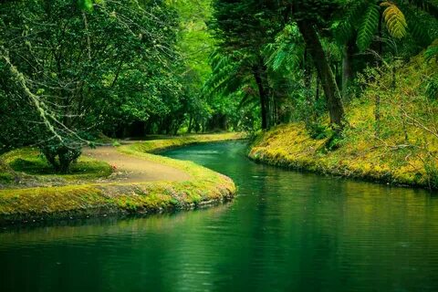 Into the green