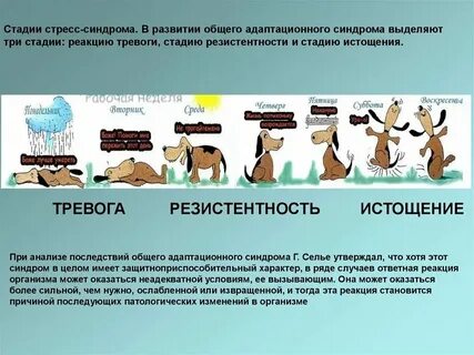 Общая стадия это