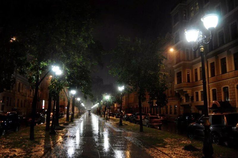 Ночной питер осенью. Ночной осенний петербург. Ночной сквер санкт петербург. Петербург ночь осень. Набережная невы в санкт-петербурге осень.