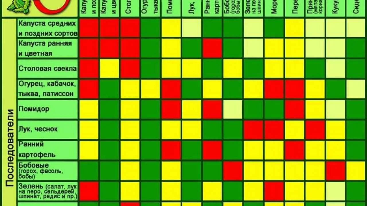 Какие овощи можно сажать после. Совместимость кабачок с другими овощами на грядке. Совместные посадки баклажаны. Севооборот на огороде что после чего можно сажать таблица. Совместимость тыквы с другими овощами на грядке.