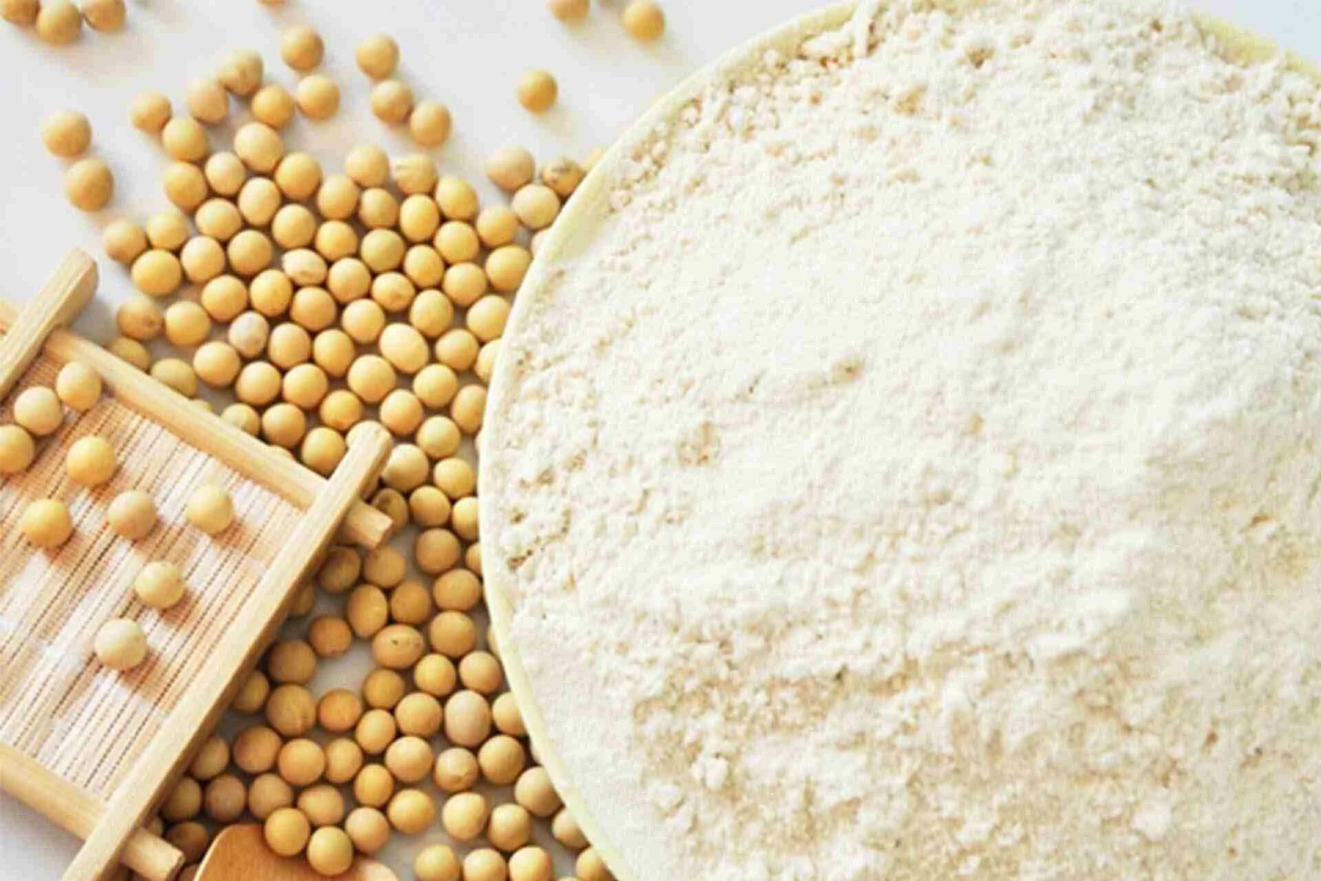 Изолят соевого белка польза и вред. Soy Protein isolate. Soybean Protein isolate. Соевый белок. Соевый концентрат.