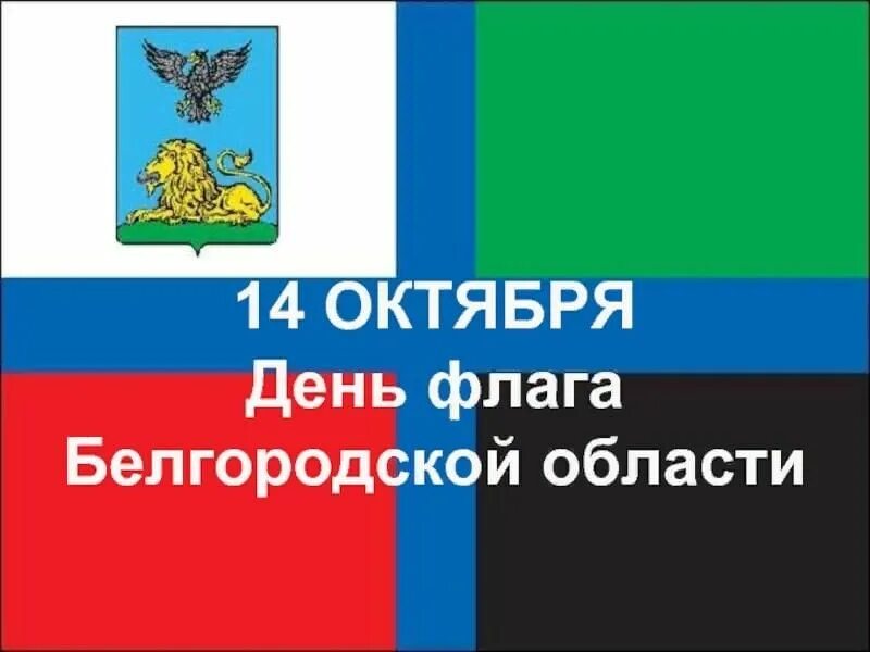 Белгородский флаг. Сценарий день белгородского флага. День флага белгородской област. Сценарий день белгородского флага. Флаг белгорода фото.
